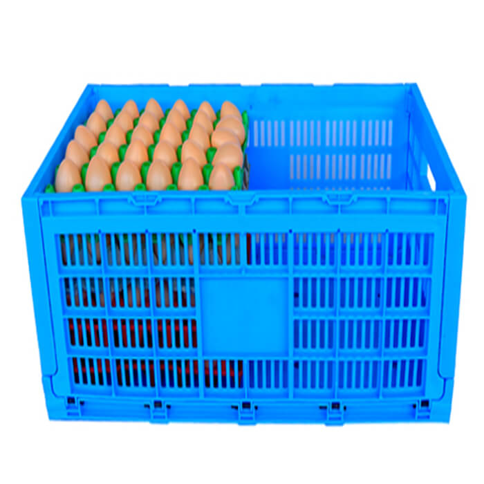 PKM-6333257 Folding Mesh Containers