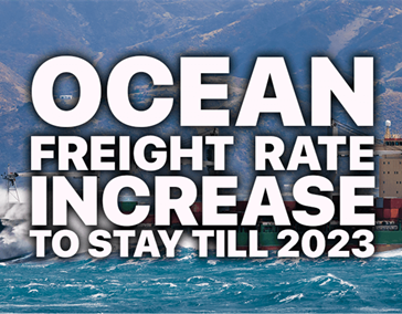 Sea Freight Rates Trend Forecast and Product Recommendation in 2022